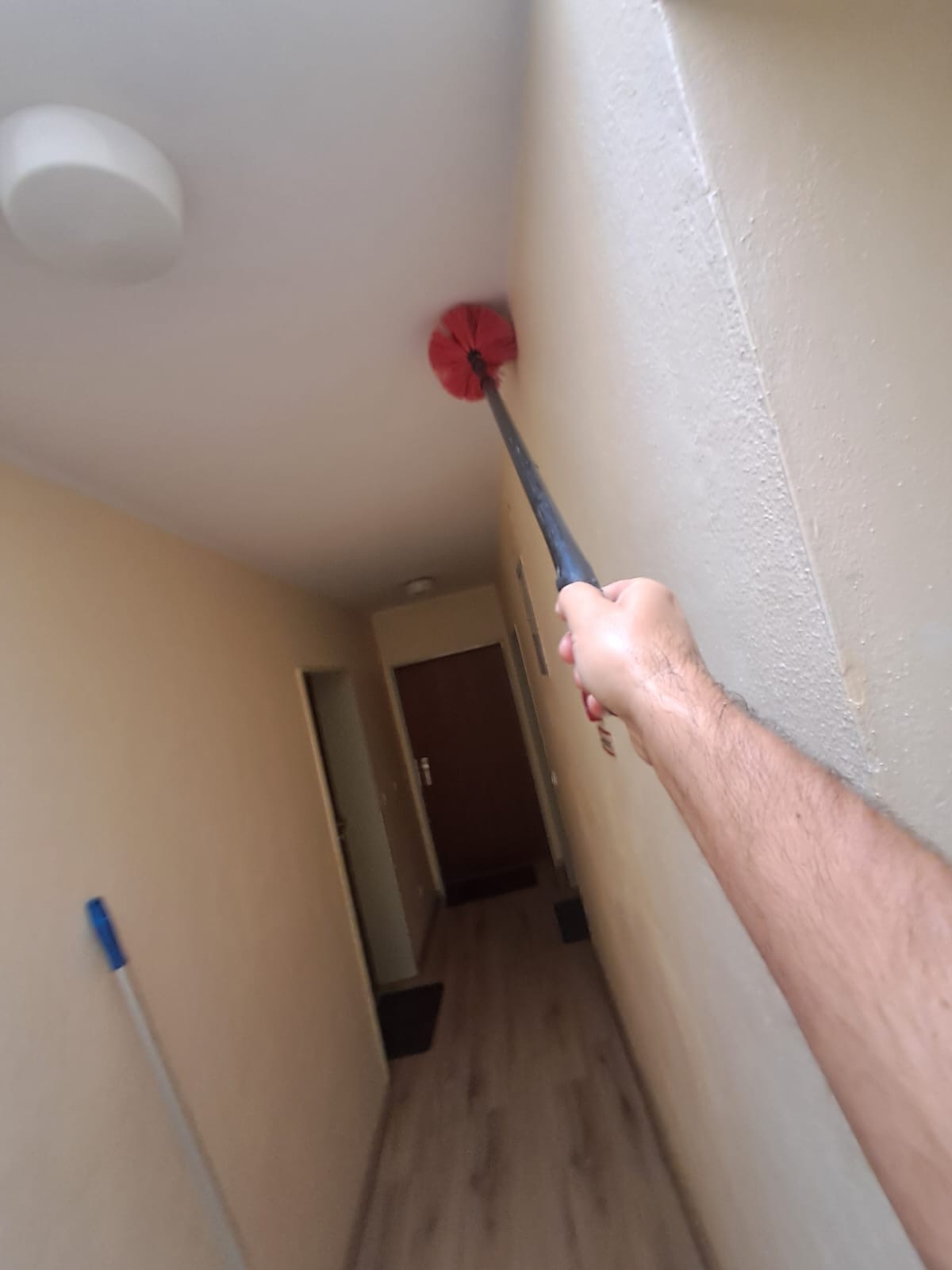 Entfernen von Spinnweben an Wand und Decke im Hausflur